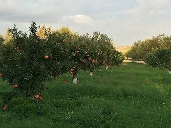 Masseria Della Volpe Hotel Casale Modica