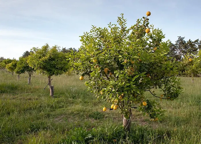 Masseria Della Volpe Casale Modica